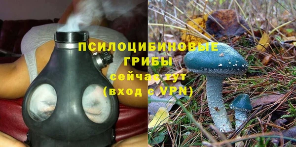 PSILOCYBIN Ладушкин