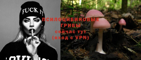 МДМА Лагань