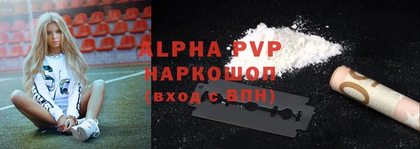 PSILOCYBIN Ладушкин