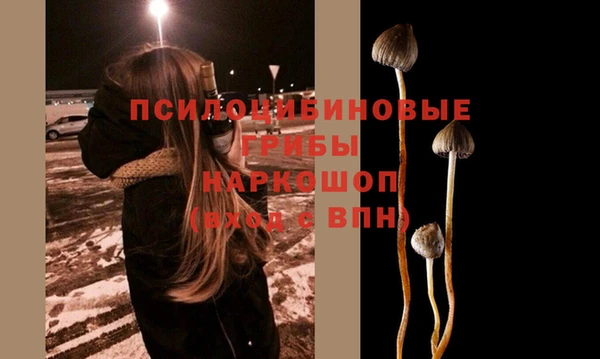 шишки Куйбышев