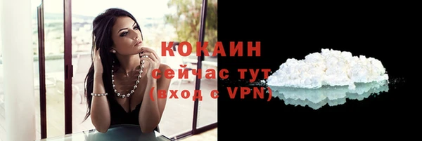 PSILOCYBIN Ладушкин