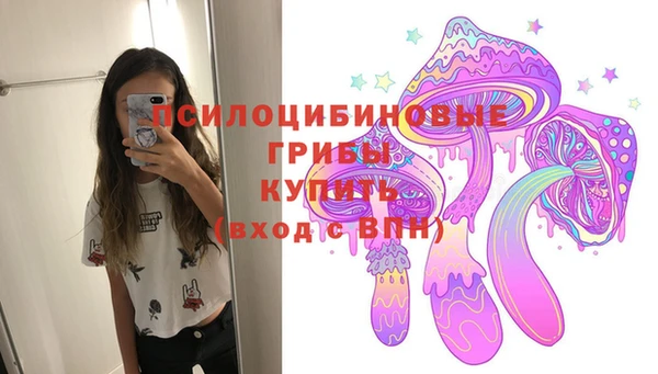 МДМА Лагань