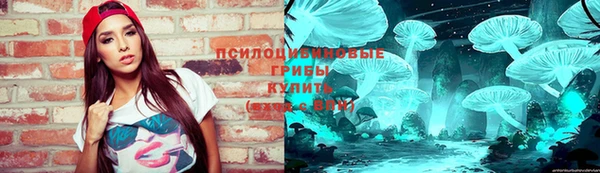 амф Лабытнанги