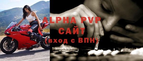 PSILOCYBIN Ладушкин