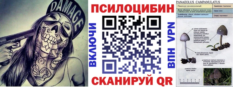 Псилоцибиновые грибы Psilocybine cubensis  хочу   Котлас 